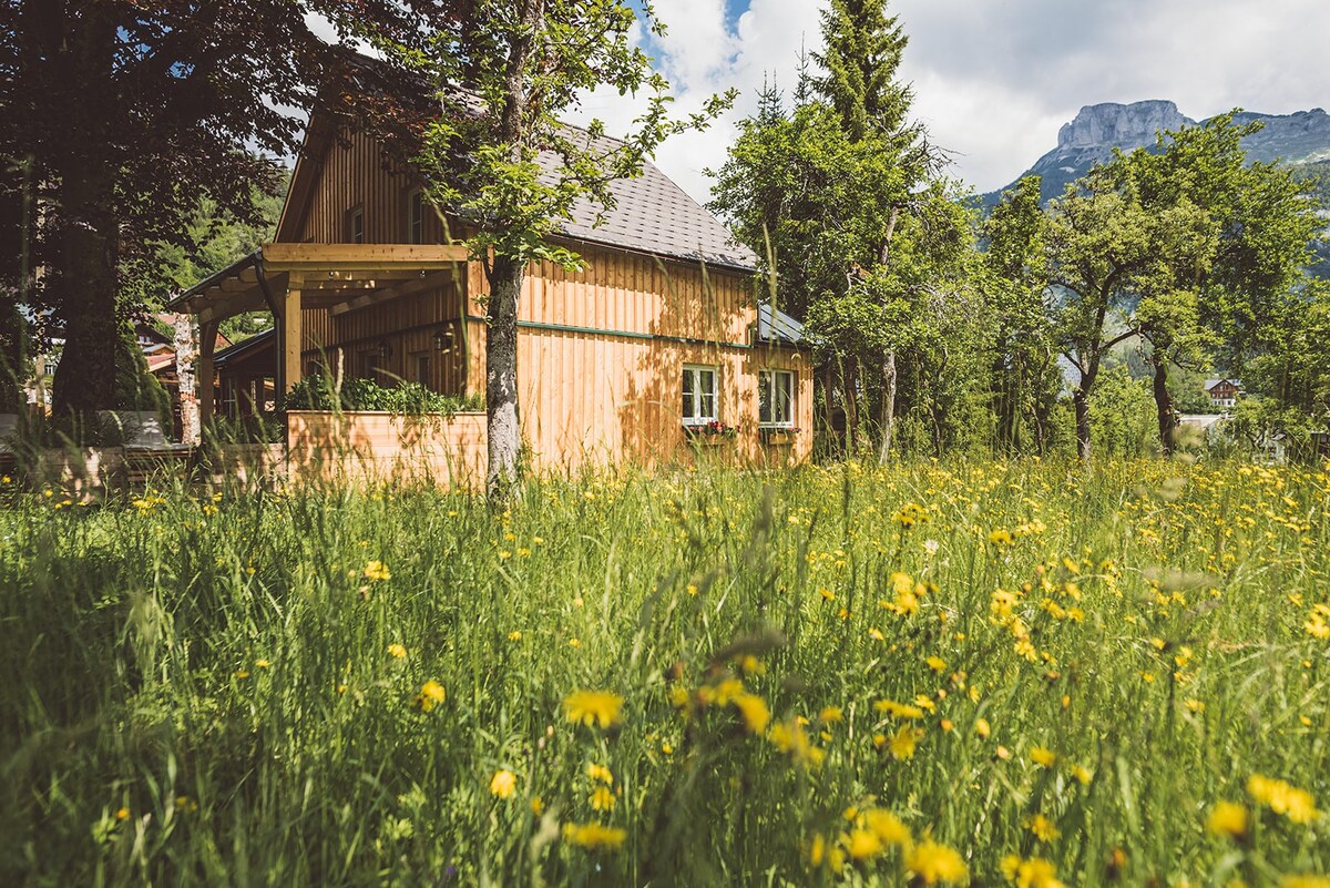 位于阿尔塔索西（ Altaussee ）湖边的豪华小屋