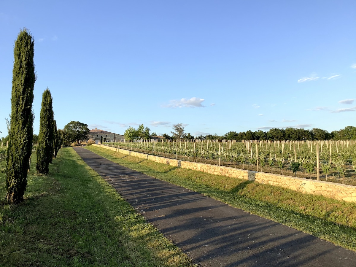 Les Palues - Chambre La Campagne