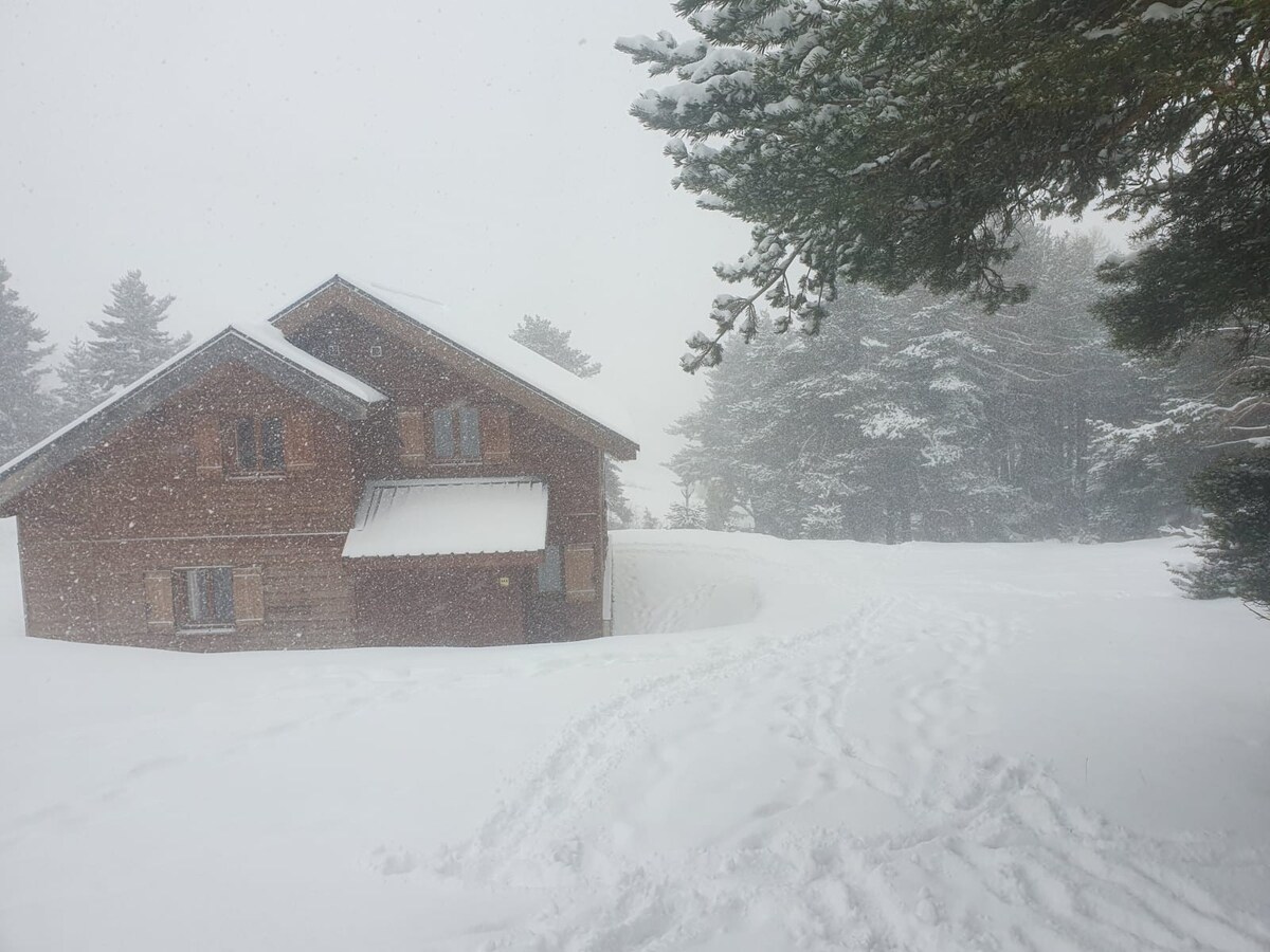 Joue du Loup度假村的滑雪度假木屋