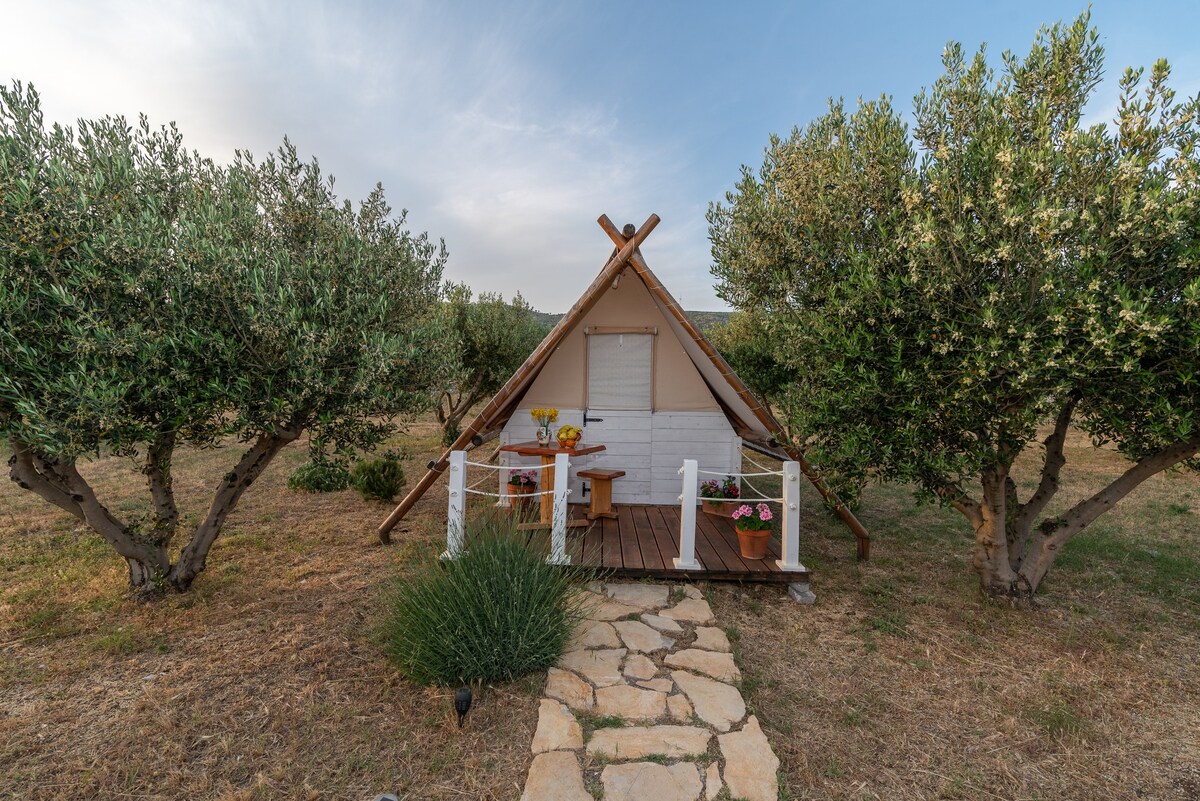 Glamping camp Marta - Vrsine - Tent "Iva"