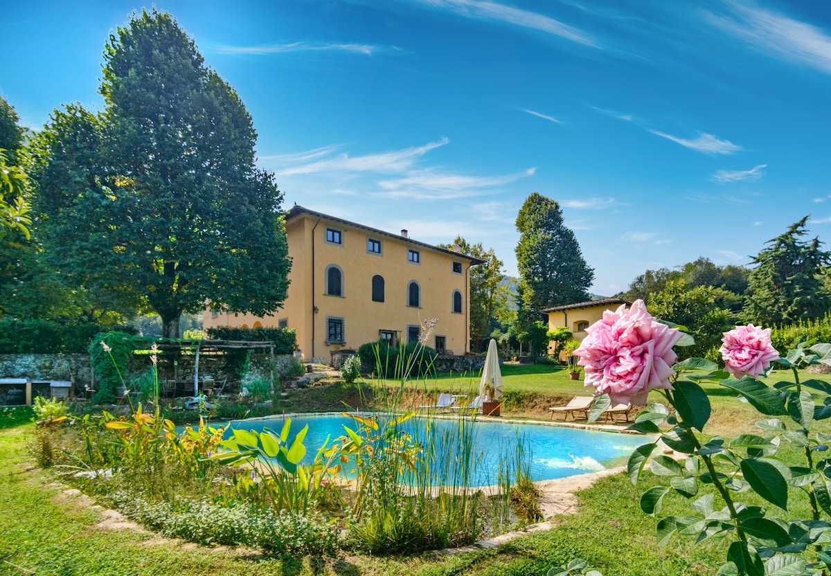 历史悠久的别墅，距离Luccacentre- Villa Zambaldi 6公里