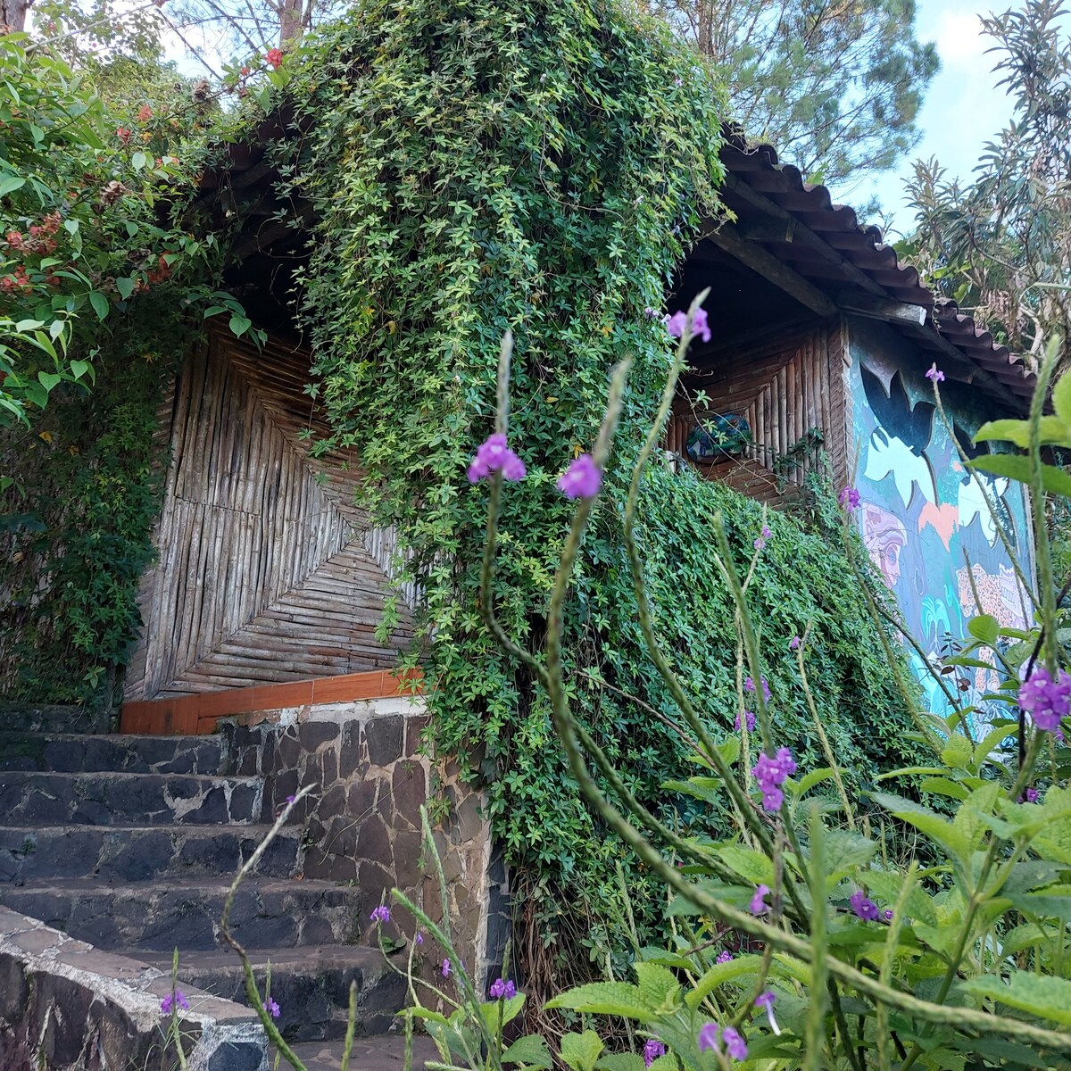 bamboo  hut