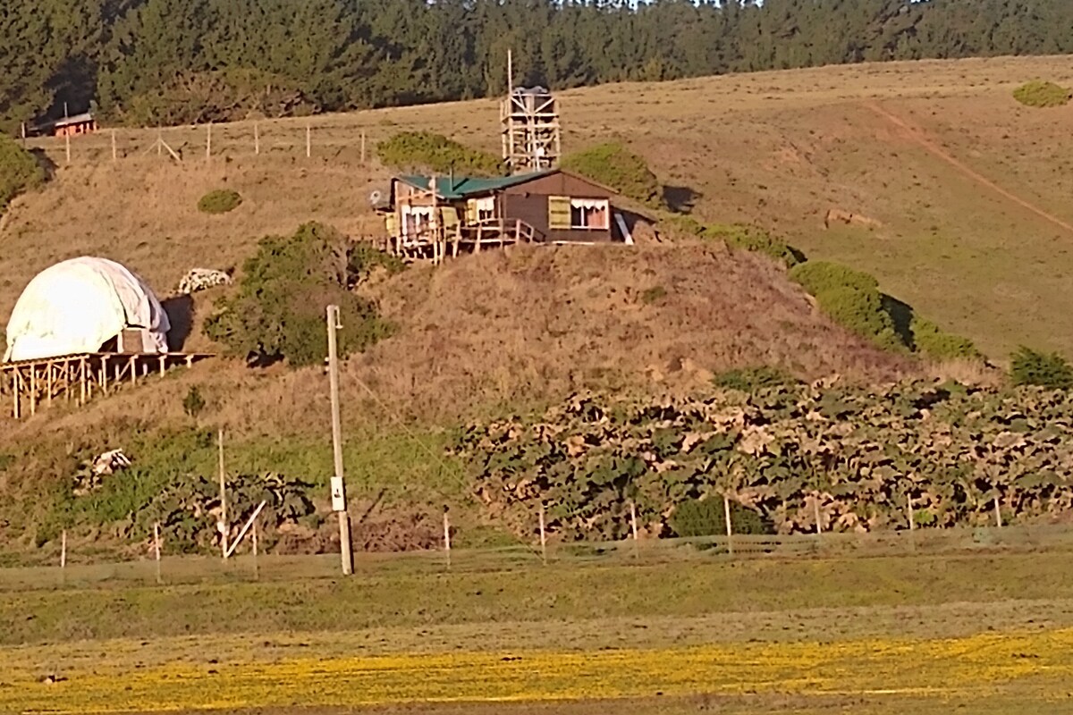 CABAÑA en Constitución