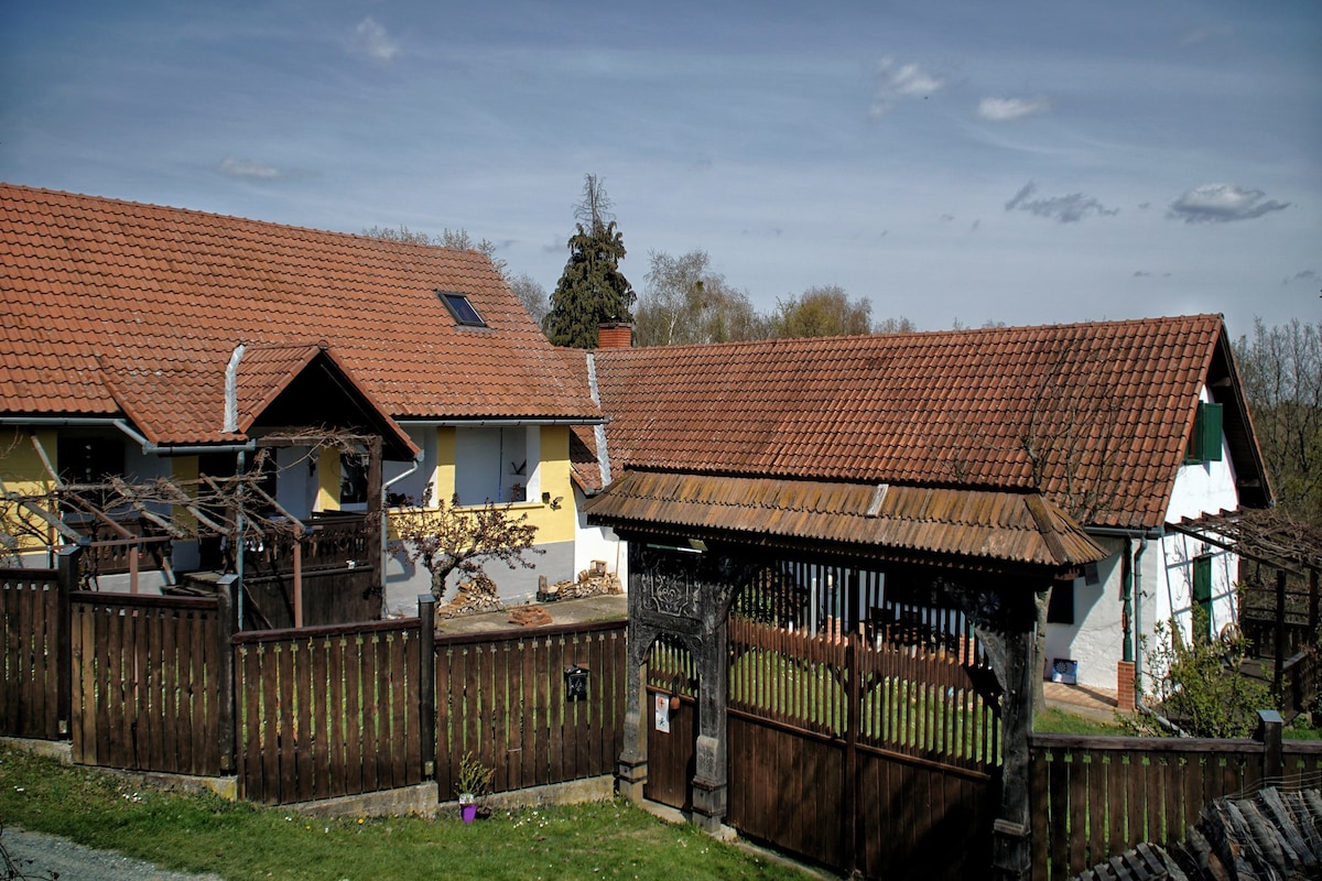 Dreiländereck时尚的乡村别墅