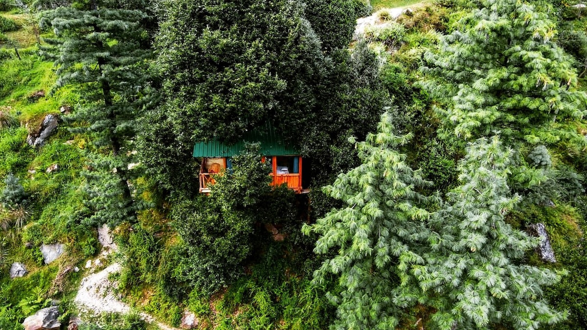 Whispering Pines Cottages | Treehut | Tandi