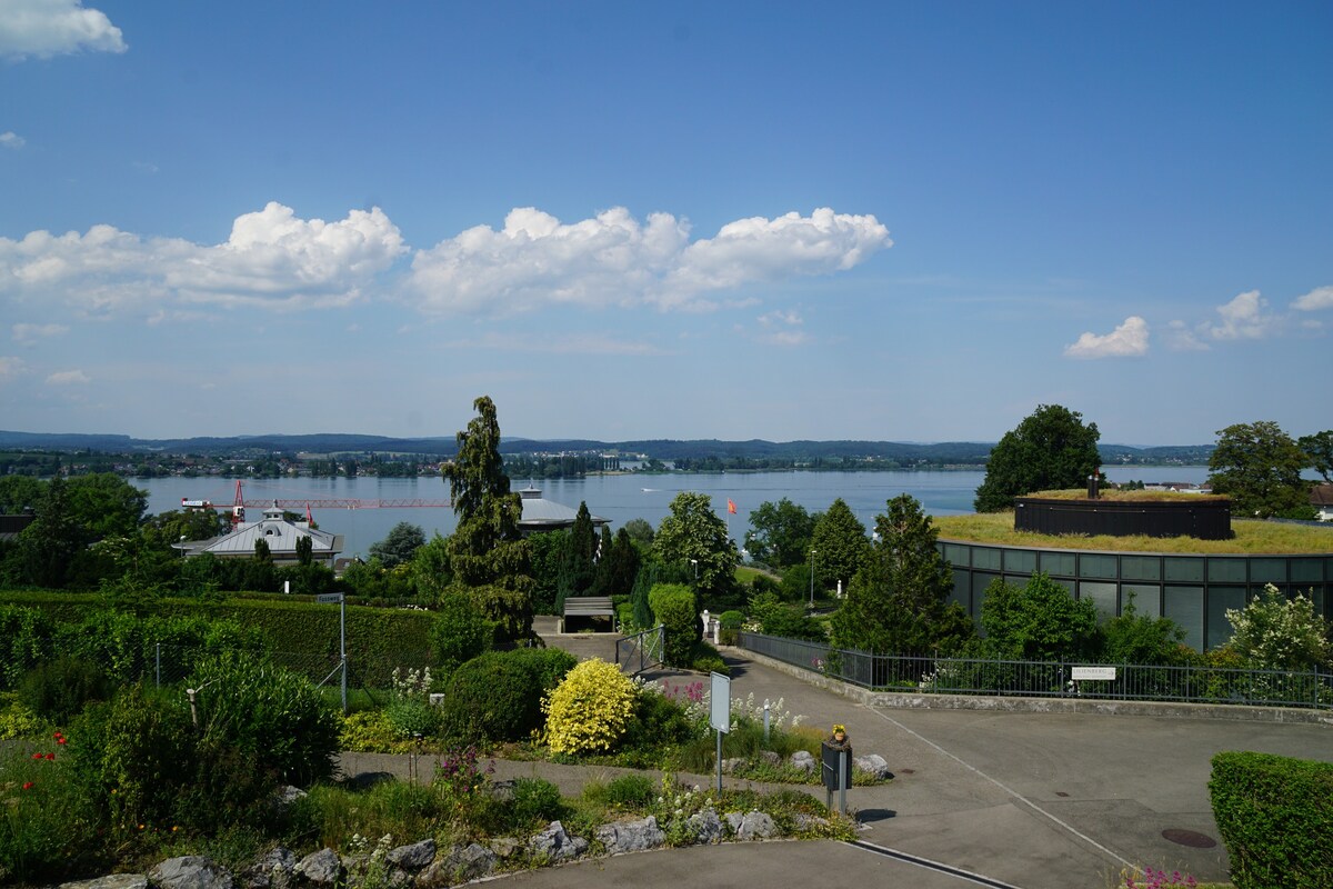 康斯坦茨湖（ Lake Constance ）独家景观的公寓