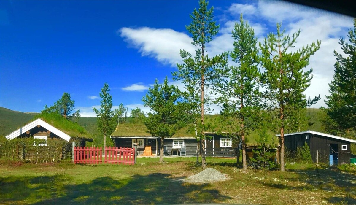 Osheim舒适的家庭小木屋距离Røros仅19分钟路程