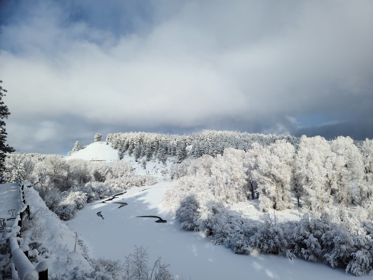 雪松小屋；山景和圣胡安鱼