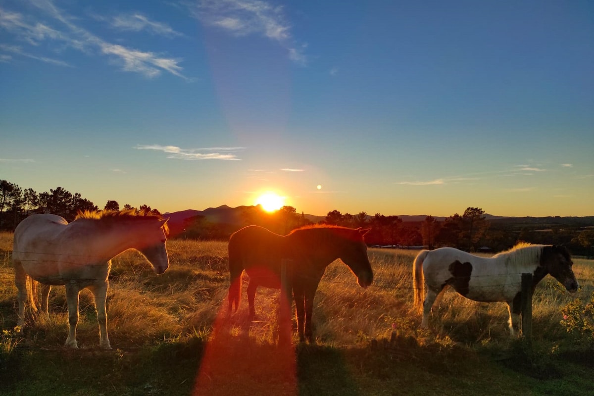 Two-Bedroom Cottage, Fernhill Guest Farm