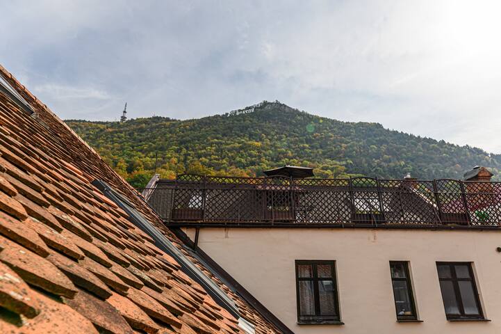 布拉索夫(Brașov)的民宿