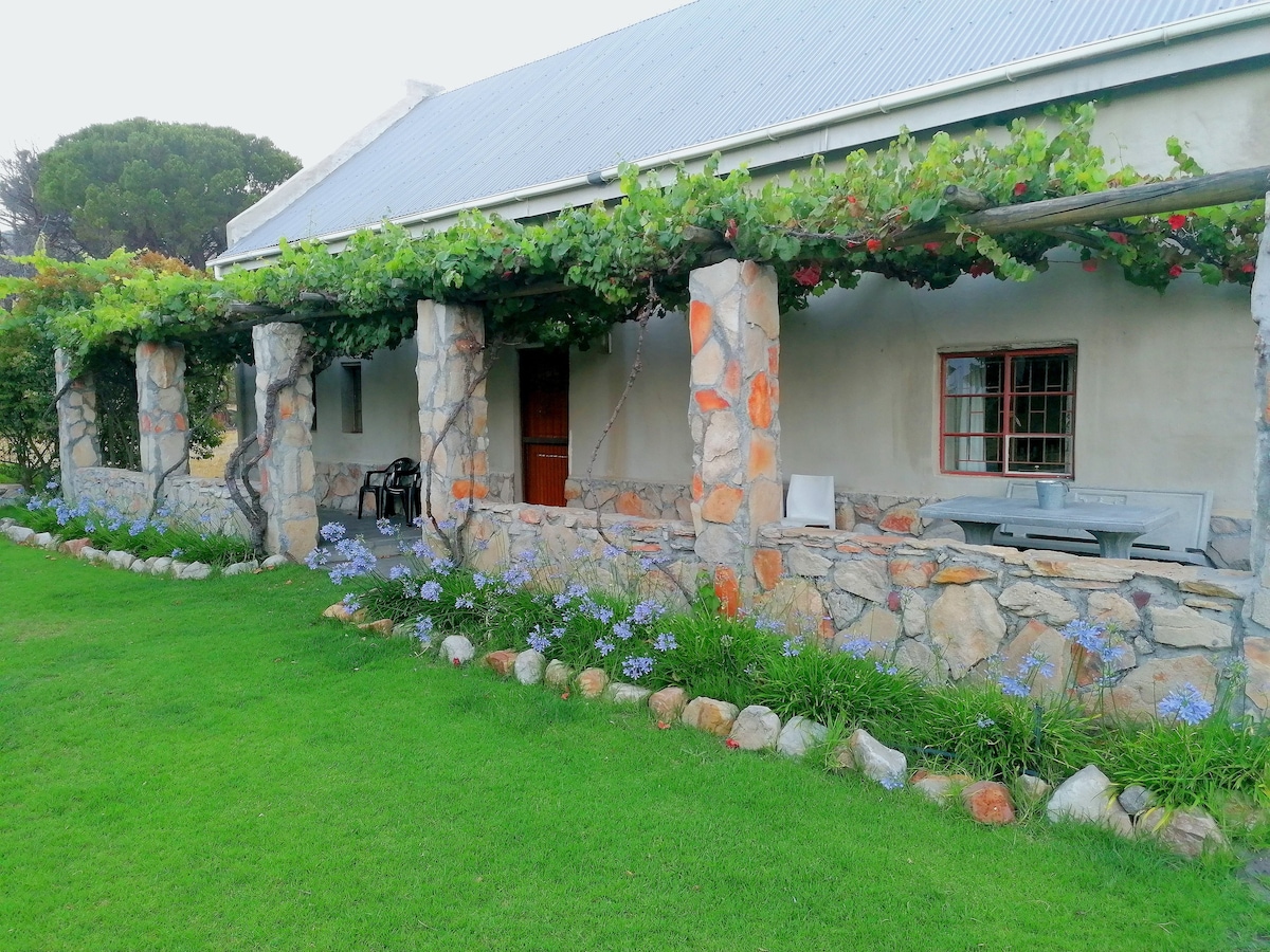 Fynbos Mountain Cottage close to town