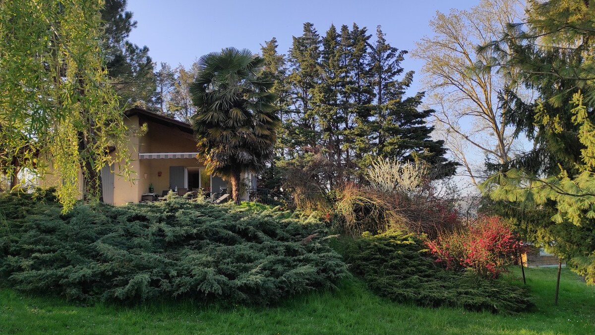 房子面积为120平方米，有树木茂密的公园。