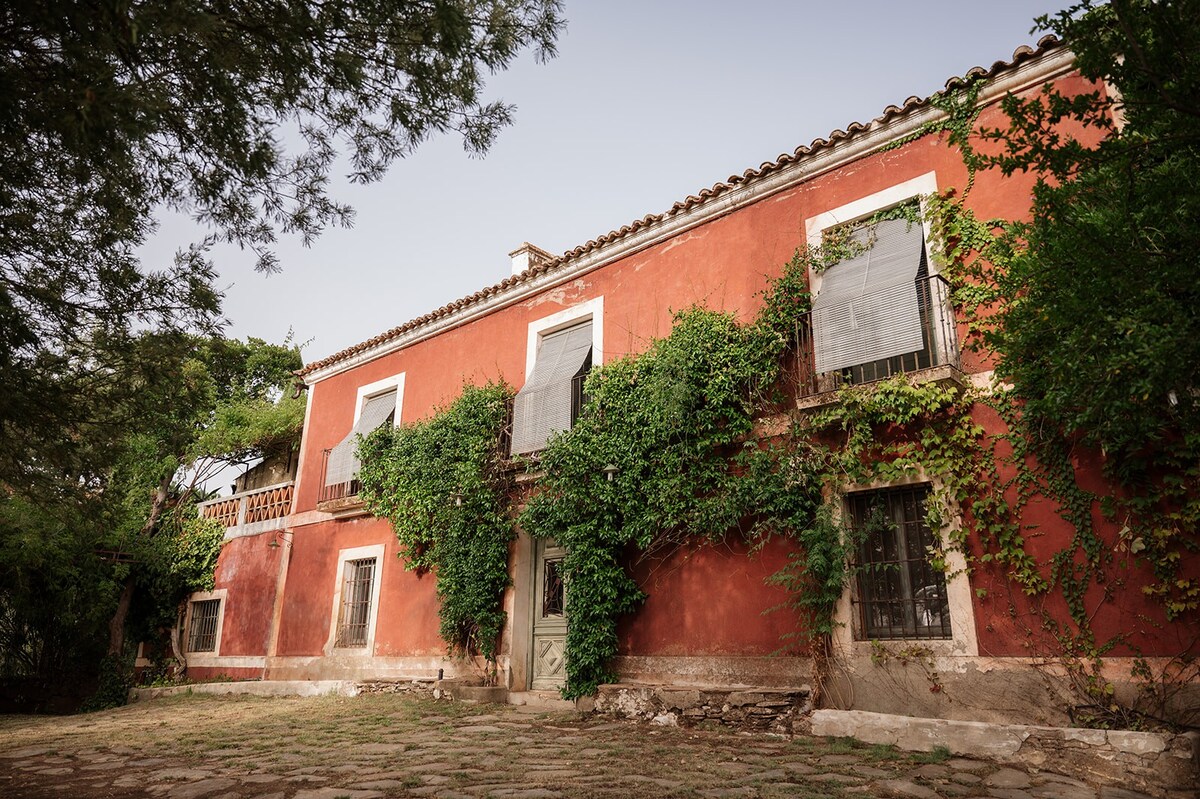 Casa Rural - Lagar Buenavista