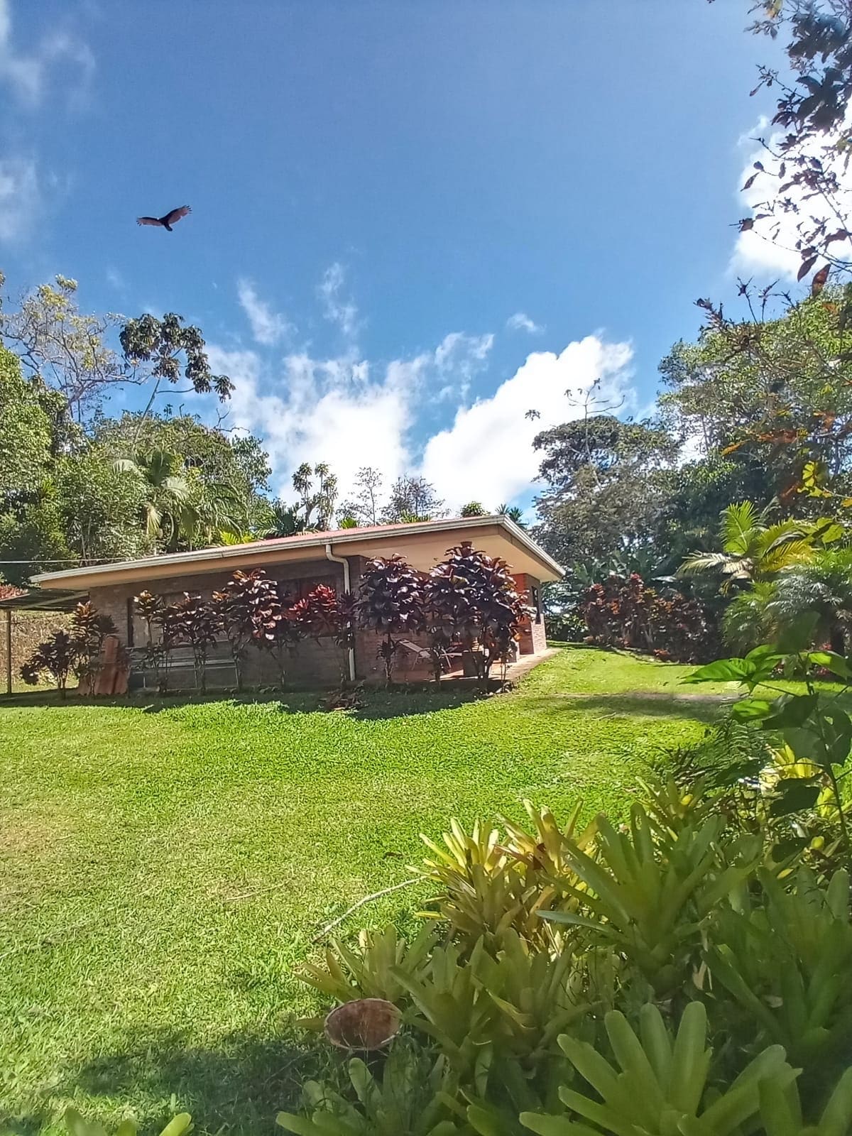 Casa Bromelias, Agua Buena.