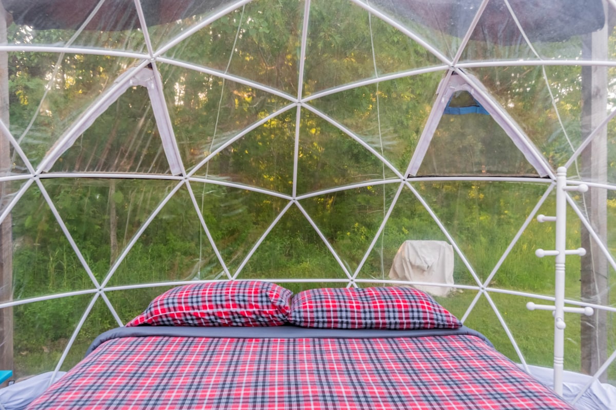 ComfyDome Glamping Forest-Side Site ！