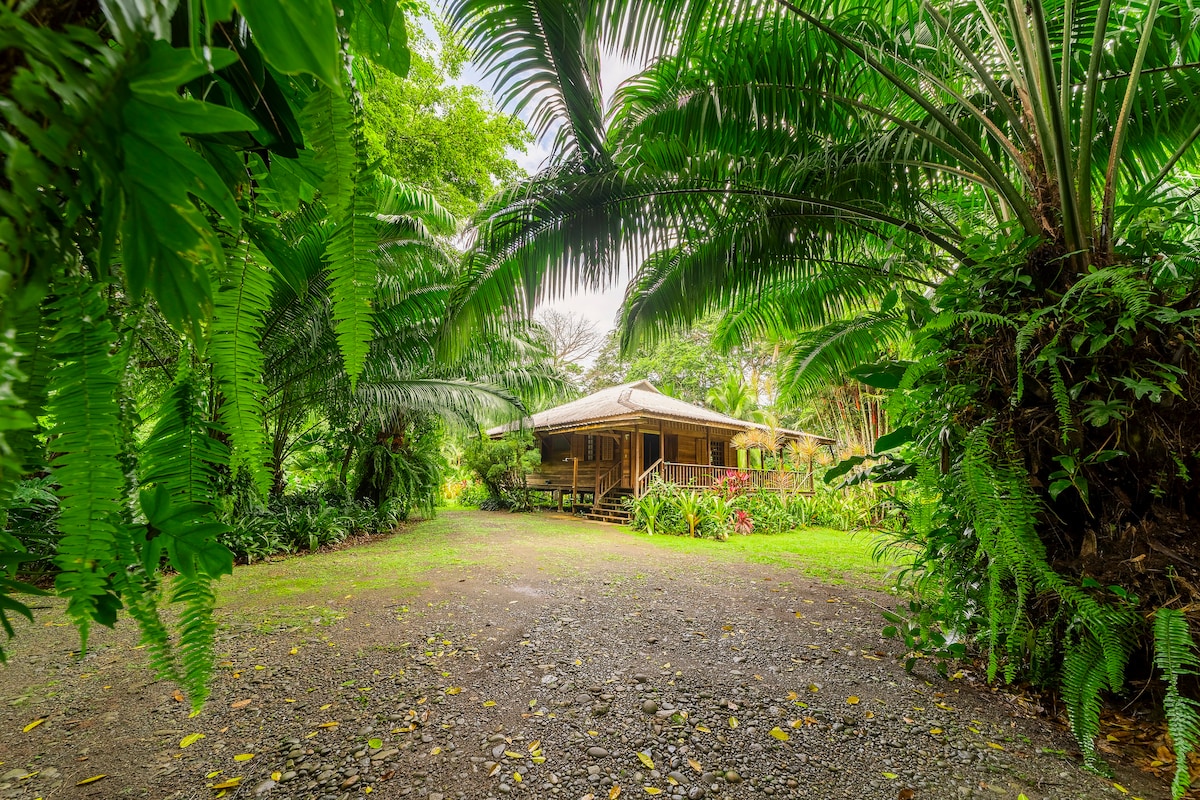 Casa Viva beachfront Bungalow 1