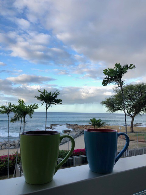 Ocean Front Condo on Leeward Side