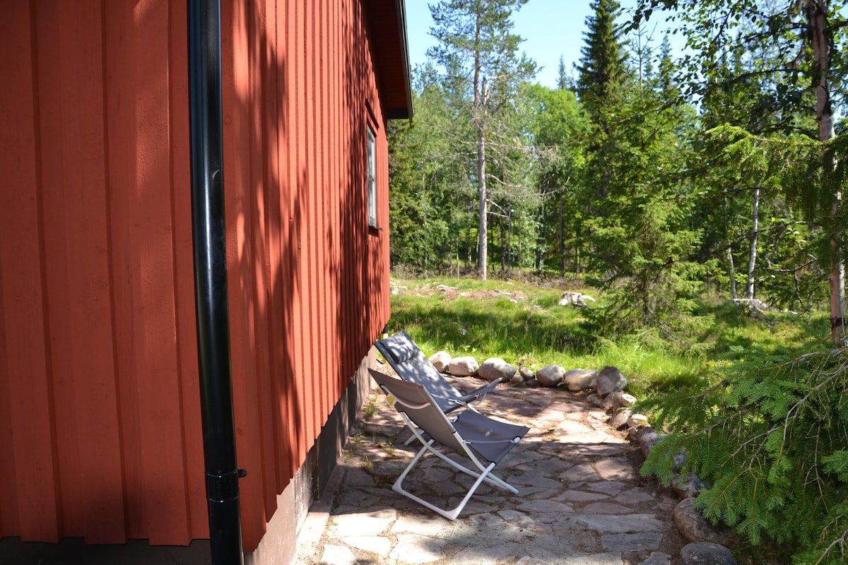 Mysig stuga i Björnlidens fjällby, Grövelsjön