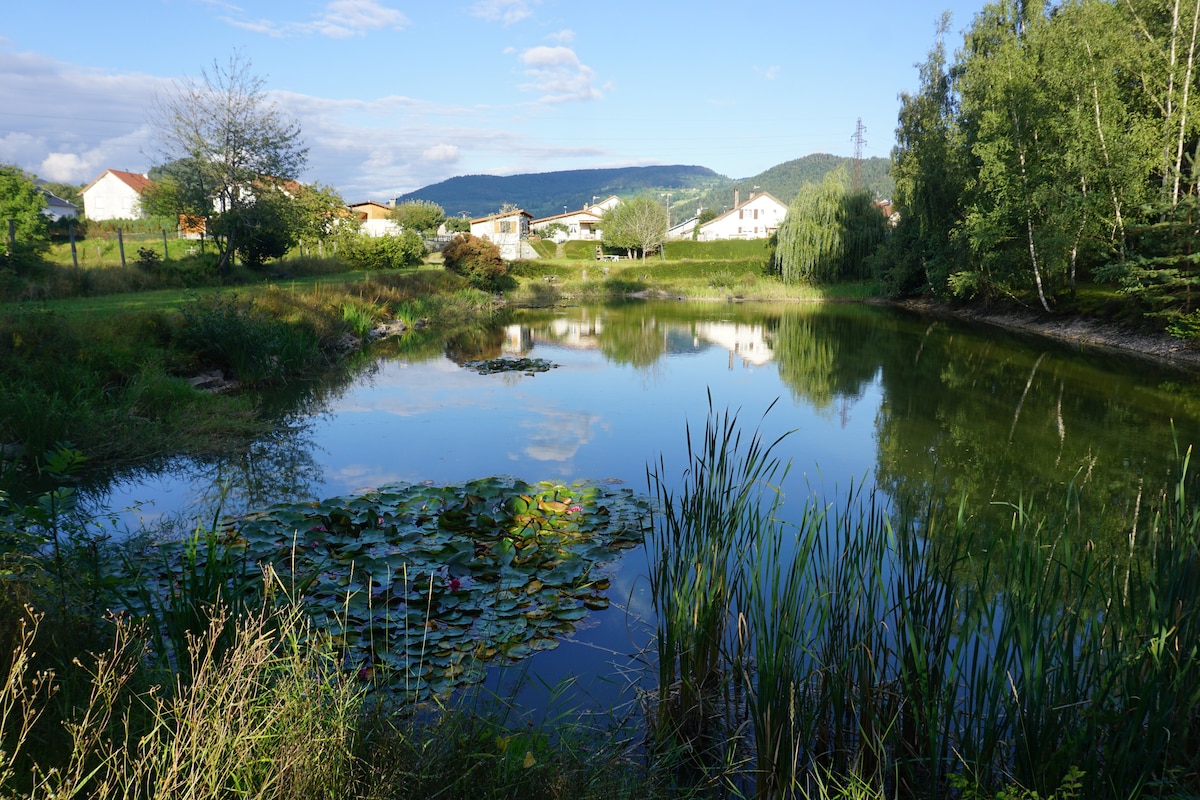 La maison et l'étang de pêche