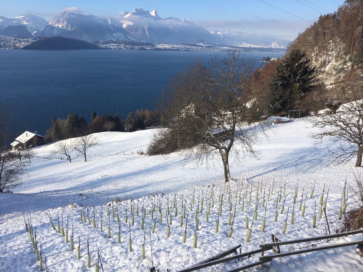 Chalet Bärenegg: kleine Perle am Thunersee