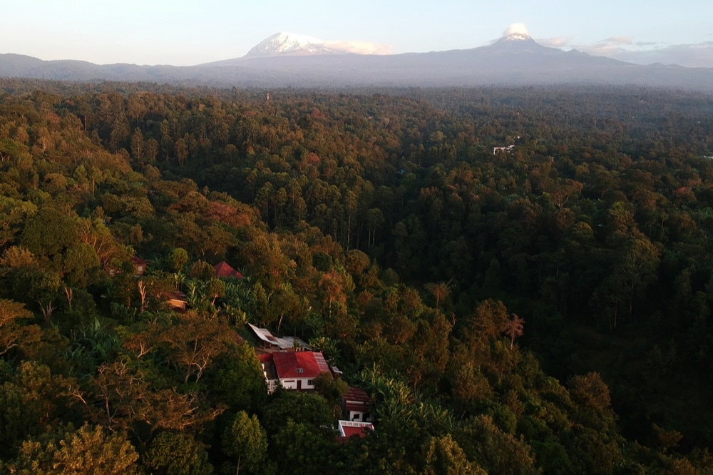 Ecolodge Kilema天堂， 1号房间