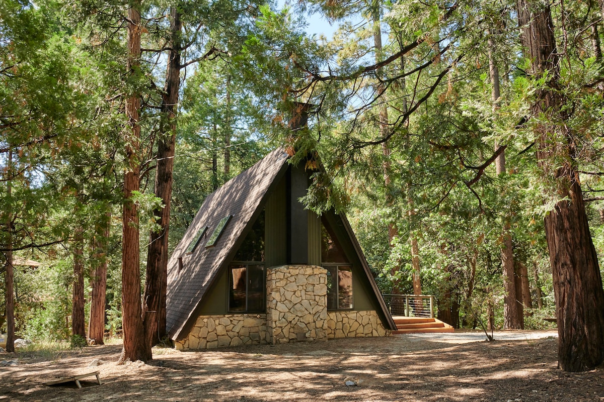远方--森林中的框架小屋