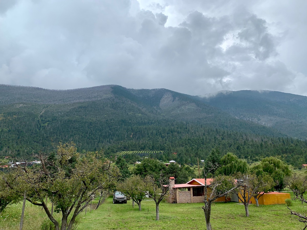 Los Los Lirios, Arteaga, Coahuila