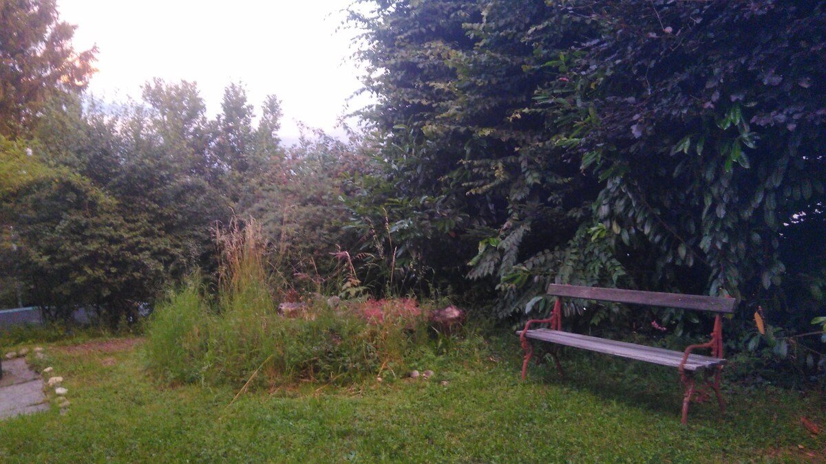 Garden-Room - Aussicht in Natur