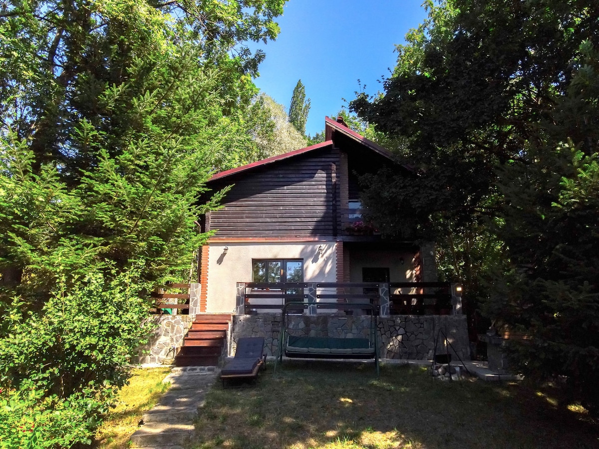 Mountain Family Chalet