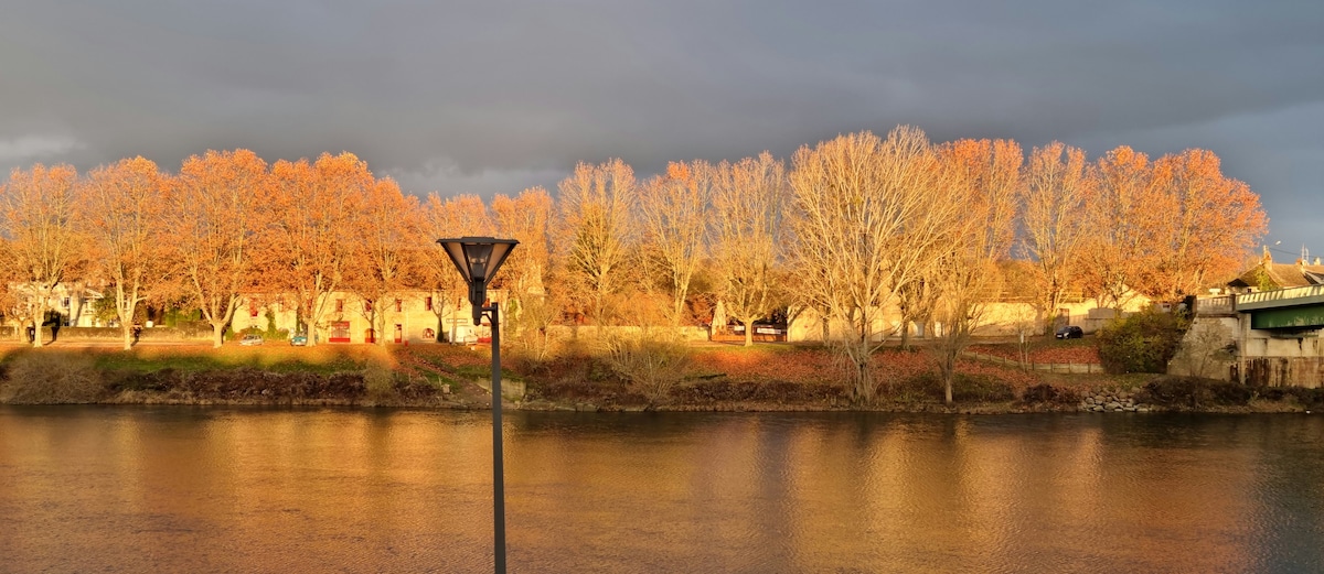 "Les suites du Quai de Saône"