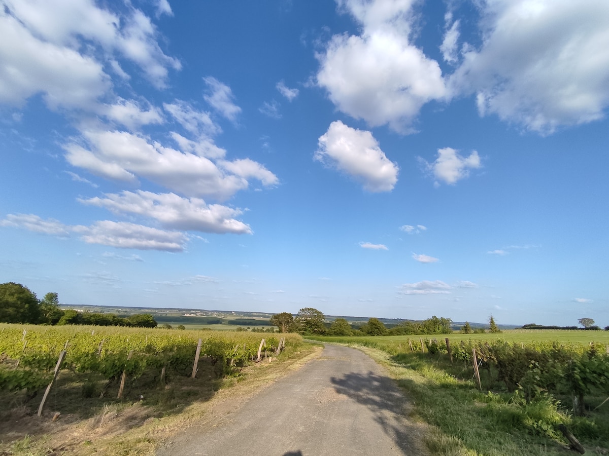 L'Aube, maisonnée au coeur du village de Tourtenay