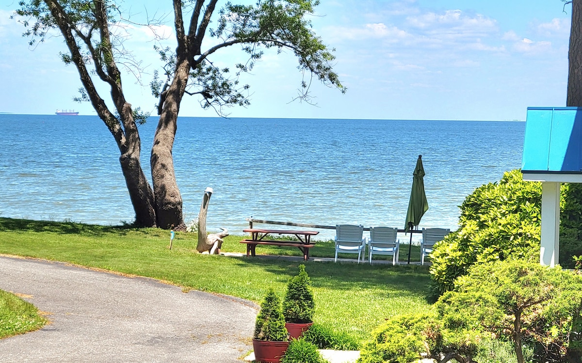 切萨皮克湾（ Chesapeake Bay ）古湾经典海滨