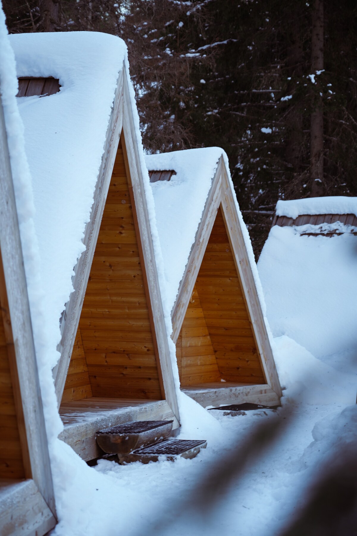 A-Frame Cabin with forest view