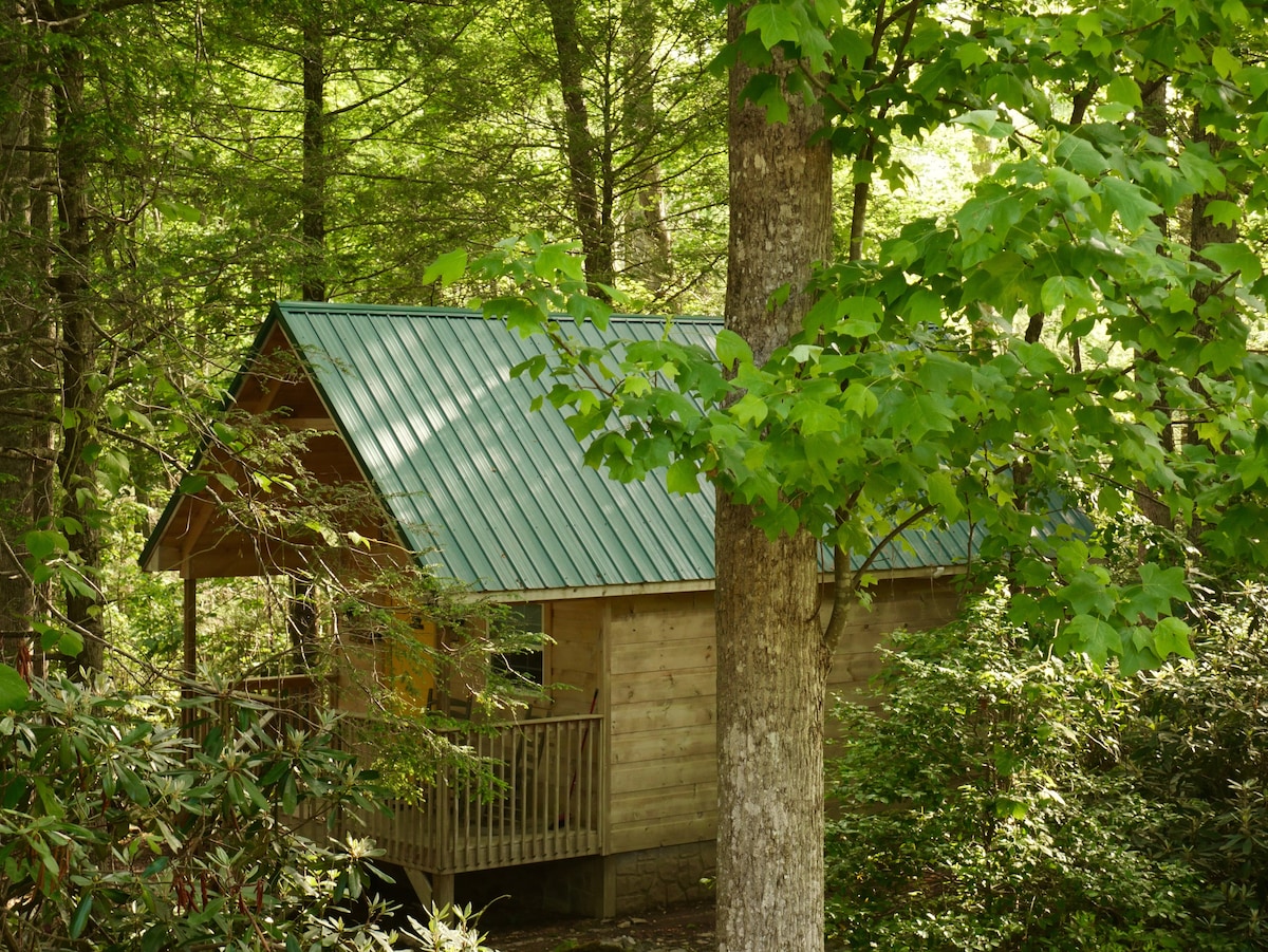 Holly Nest ：加特林堡附近的舒适小木屋度假屋