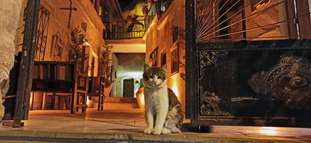 ADELYA 7豪华家庭洞穴（ Goreme、Cappadocia ）