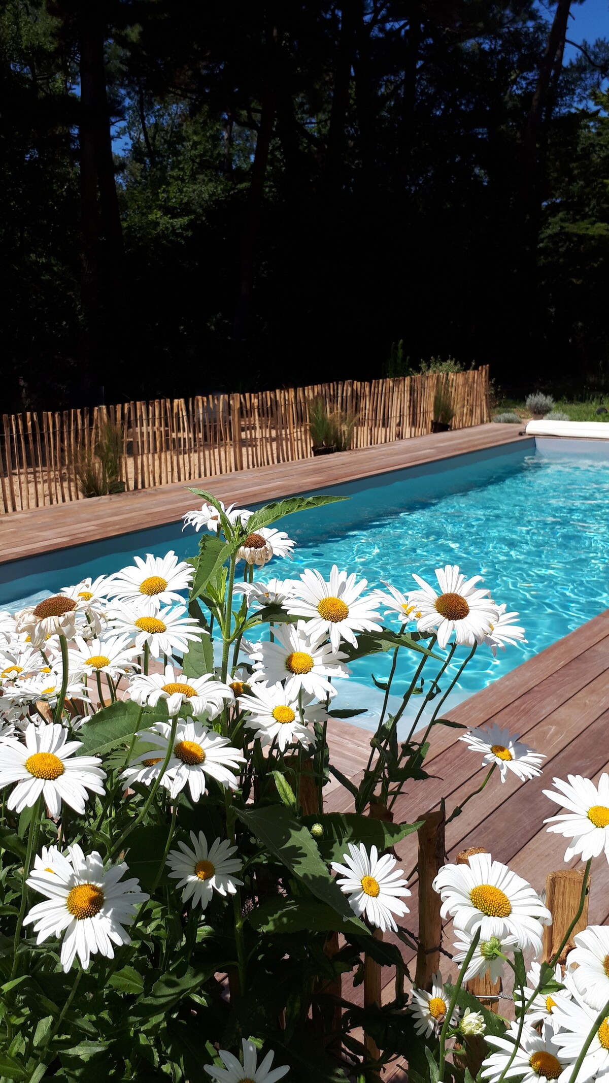 "La Bourrine dans les Pins", Villa de charme