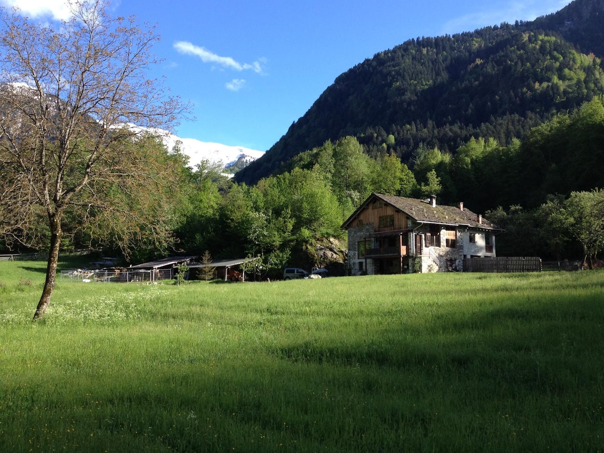 Il Pinciarin - Monterosa Piode