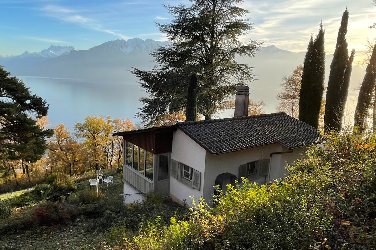 Lavaux Cottage -可欣赏独特景观的迷人别墅！