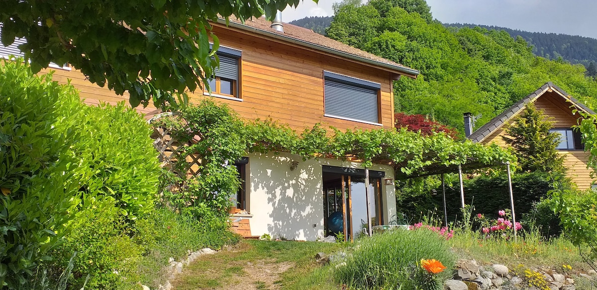 Maison spacieuse au calme, très belle vue Vercors