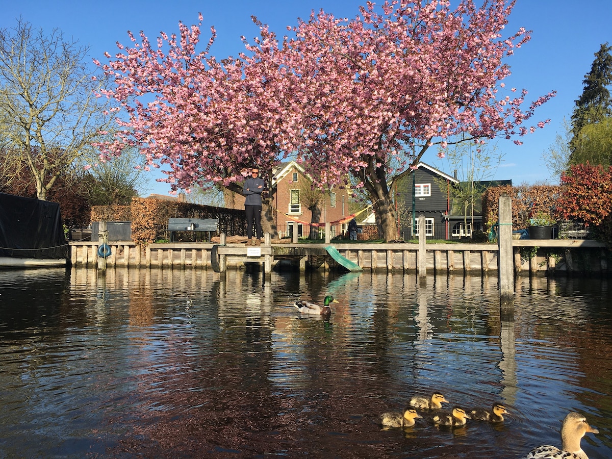 Unique Riverside Retreat - Amsterdam Lake District