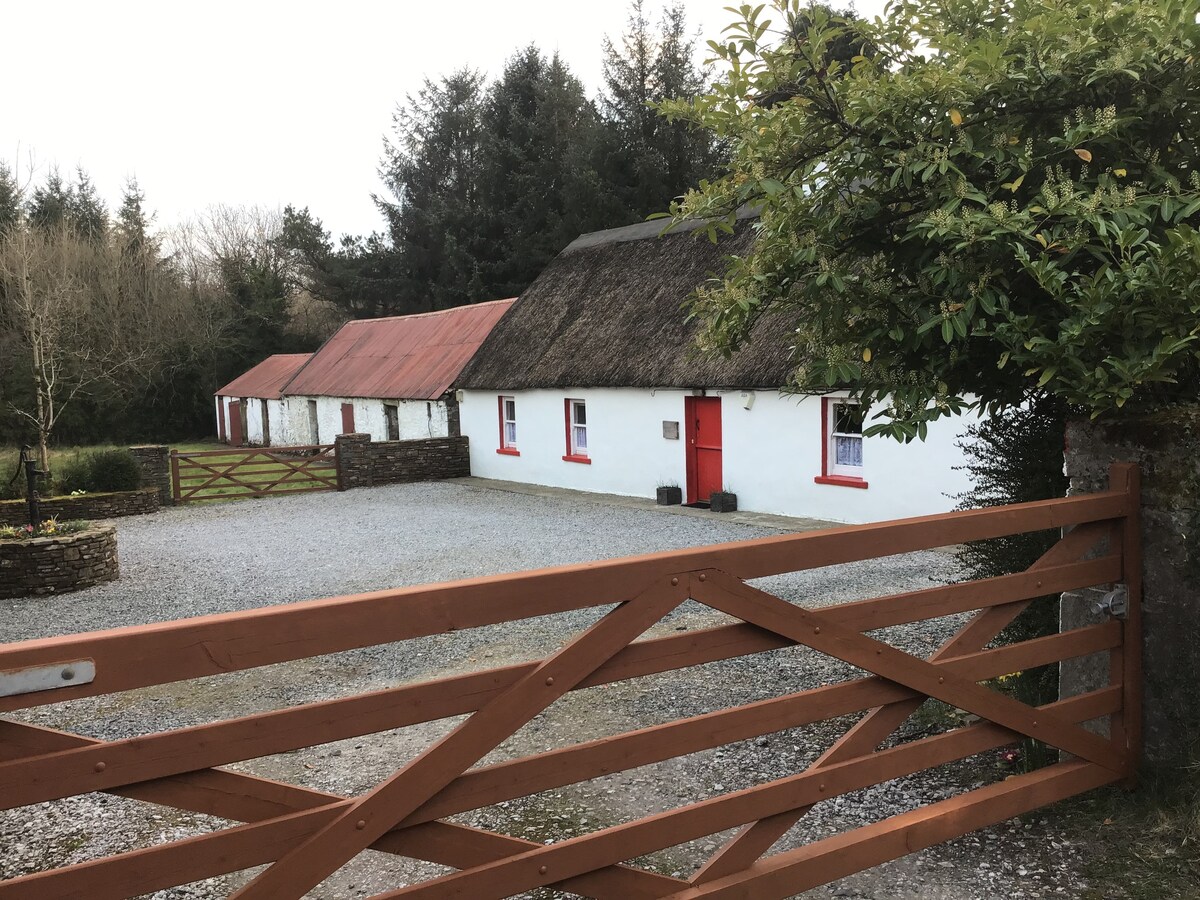 传统爱尔兰茅草小屋