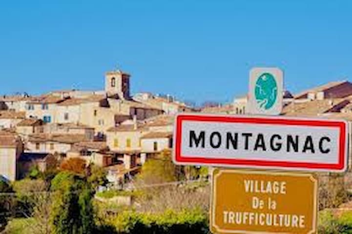 Montagnac-Montpezat的民宿