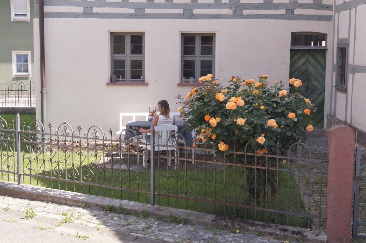 Ickelhaus 1 ，可供4至10人入住，壁炉，花园