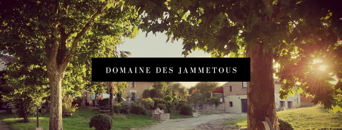 Domaine des Jammetous - Boutique B&B - South France。