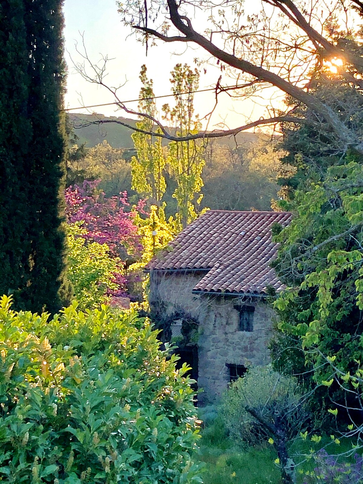 La Fenouillère calme absolu pleine nature