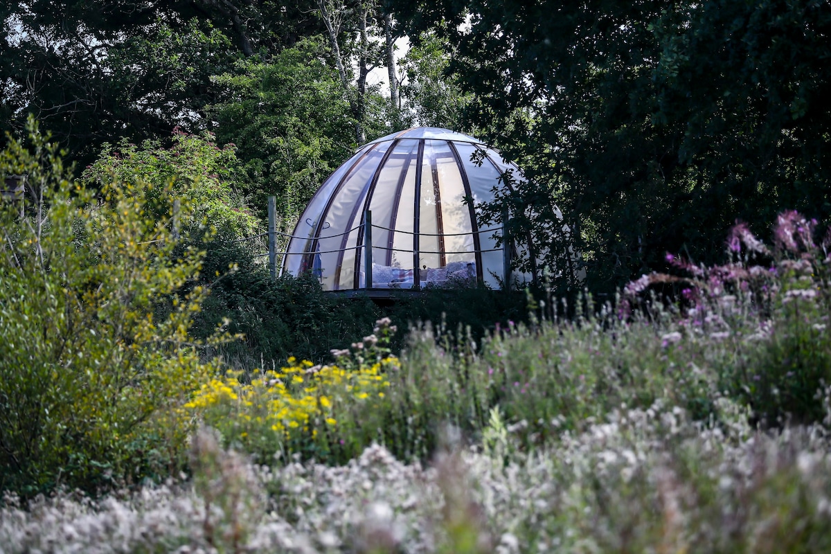 在橡树巨蛋（ Oak Tree Dome ）体验大自然（ Tri ）