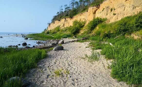 Spatzenhecke, Klützer Winkel, Wohlenberg/Ostsee