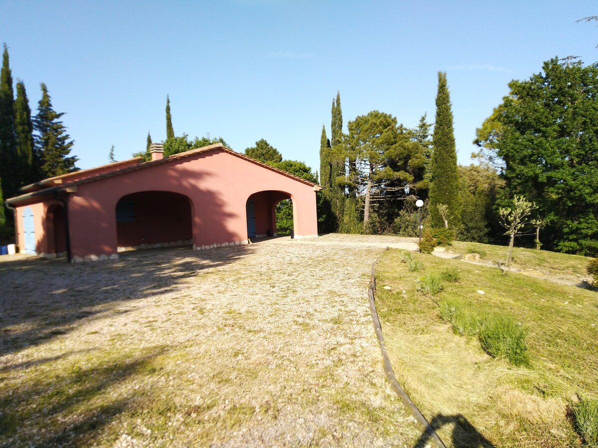 Villa in oliveto con piscina Monteverdi Marittimo