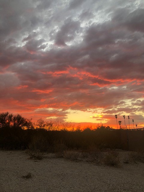 Tucson Casita with the Desert Experience