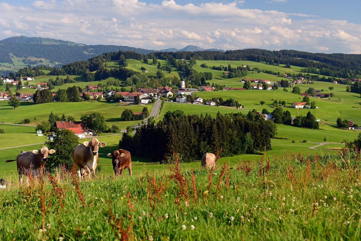 Allgäu田园诗般的假期！